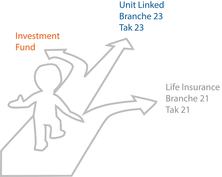 Should we expect a sustained enthusiasm for Unit linked ?