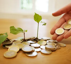 How to measure the contribution of your ESG strategy to your return?