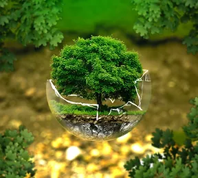 How to integrate EU Taxonomy in your reporting?