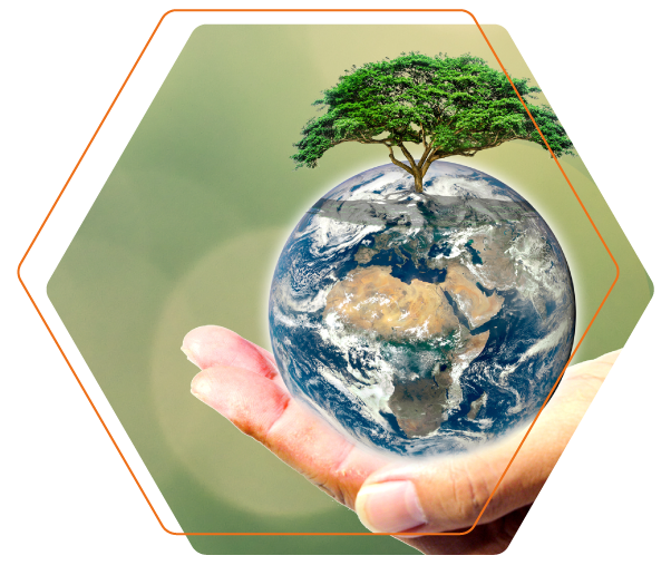 The Advantages of investing with a lower carbon footprint