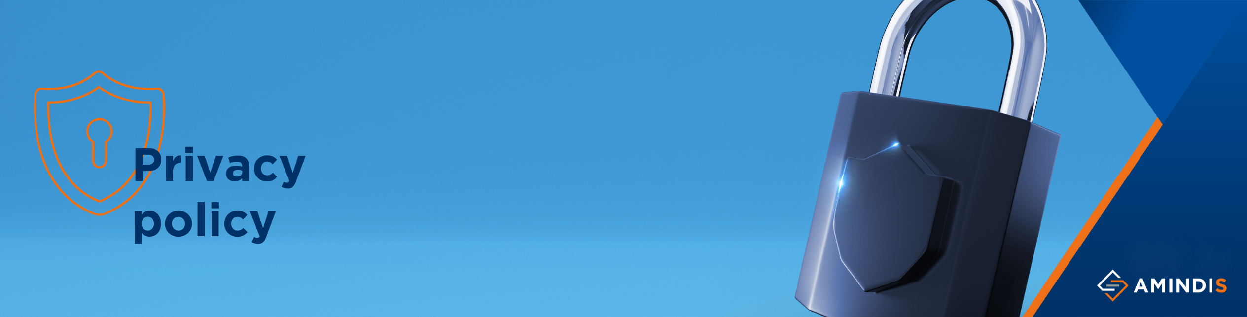 Privacy policy AMINDIS